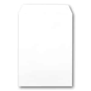 5520<br>Enlargement<br>Envelope