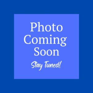 NEW!! <br>5500<br>Plain White<br>Order Envelope<br>without numbering or barcode