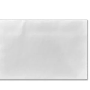 1510<br>White Business Envelope<br>6" x 9"